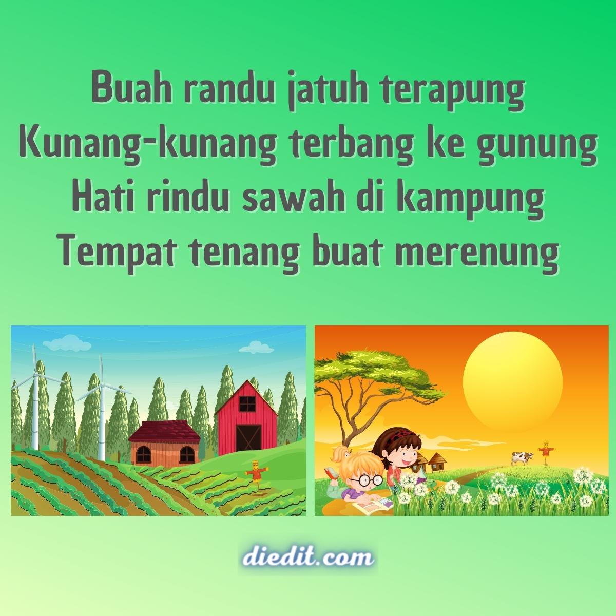 Petani Musiman: Menjelajahi Keindahan Sawah dan Durian di Cilacap